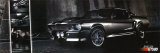 Buy Shelby GT500 at AllPosters.com