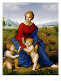 Buy Madonna on the Meadow, 1505 or 1506 at AllPosters.com