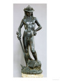 David, Bronze Sculpture
