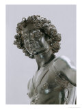 Young David, Detail of the Head