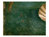 Buy The Birth of Venus (Venus Anadyomene) at AllPosters.com