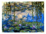 Waterlilies, 1916-1919
