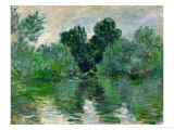 A Branch of the Seine, 1878