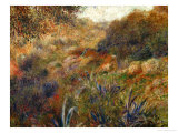 Algerian Landscape, the Gorge of the Femme Sauvage, 1881