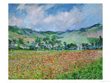 A Field of Poppies