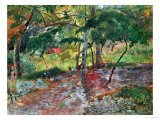 The Pool, Martinique, 1887