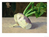 A Celery Root