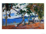 Seashore I, 1887, Island of Martinique
