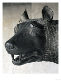 She-Wolf Suckling Romulus and Remus (Mythical Founders of Rome)