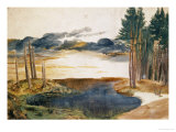 Pond in the Woods