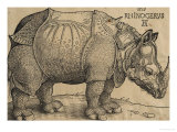 Buy Rhinoceros, 1515, Etching at AllPosters.com