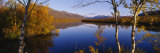 Reflection of Trees and Mountains in a River, Vistas River, Nikkaluokta, Lapland, Sweden