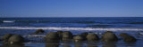 Boulders on the Beach, Moeraki Boulders, Gisborne, South Island, New Zealand