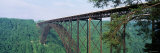 Buy Trees Around New River Gorge Bridge, Route 19, West Virginia, USA at AllPosters.com