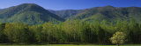 Mountains in a National Park, Great Smoky Mountains National Park, Tennessee, USA