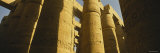 Columns in a Temple, Temples of Karnak, Luxor, Egypt