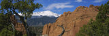Trees in Front of a Rock Formation, Pikes Peak, Garden of the Gods, Colorado Springs, Colorado, USA