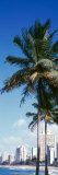 Puerto Rico, San Juan, Condado Area