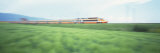 Tgv High-Speed Train Passing through a Grassland