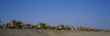 Buy Row of Bulldozers at a Construction Site at AllPosters.com