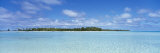 Trees on an Island, Rangiroa, French Polynesia