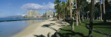 Shadow of Palm Trees on the Beach, Waikiki Beach, Waikiki, Oahu, Hawaii, USA