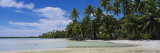 Palm Trees on an Island, Rangiroa, French Polynesia
