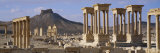 Colonnades on an Arid Landscape, Palmyra, Syria