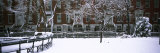Snowcapped Benches in a Park, Washington Square Park, Manhattan, New York, USA