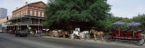 Buy Horse Driven Carriages on a City Street, New Orleans, Louisiana, USA at AllPosters.com