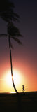 Silhouette of a Woman Running on the Beach, Magic Island, Hawaii, USA
