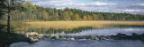 Trees Around a Lake, Itasca State Park, Minnesota, USA