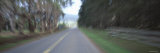 Road Passing through a Landscape, Napa Valley, California, USA