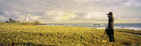 Businessman Standing Holding Binoculars and Looking at the Lighthouse, California, USA