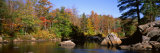 Deciduous Trees along Moose River, Adirondack Mountains, Adirondack State Park, New York, USA