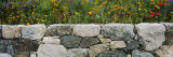 Buy Wildflowers Growing near a Stone Wall, Fidalgo Island, Skagit County, Washington State, USA at AllPosters.com