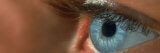 Human Eye