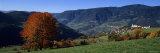 Buy Trees on a Landscape, Dolomites, St. Peter, Lajen, Tyrol, Italy at AllPosters.com