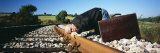 Mature Man Putting His Head on a Railroad Track, Germany