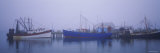 Fishing Boats Docked at a Harbor, Provincetown, Cape Cod, Massachusetts, USA