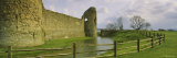 Moat Surrounding a Castle, Pevensey Castle, Pevensey, Sussex, England