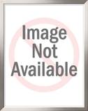 Buy 300 SL Coupe, 1954 at AllPosters.com