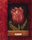 Red Tulip