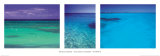 The ocean's colour