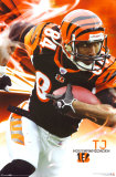 Cincinnati Bengals- TJ Houshmandzadeh