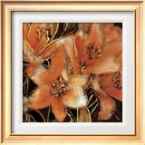 Buy Apricot Dreams I at AllPosters.com