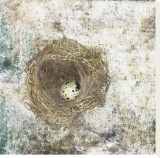 Buy Nest Egg at AllPosters.com