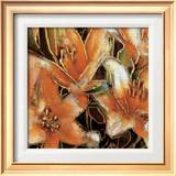 Buy Apricot Dreams II at AllPosters.com