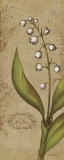 Buy Lilium II at AllPosters.com