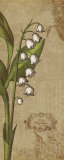 Buy Lilium I at AllPosters.com